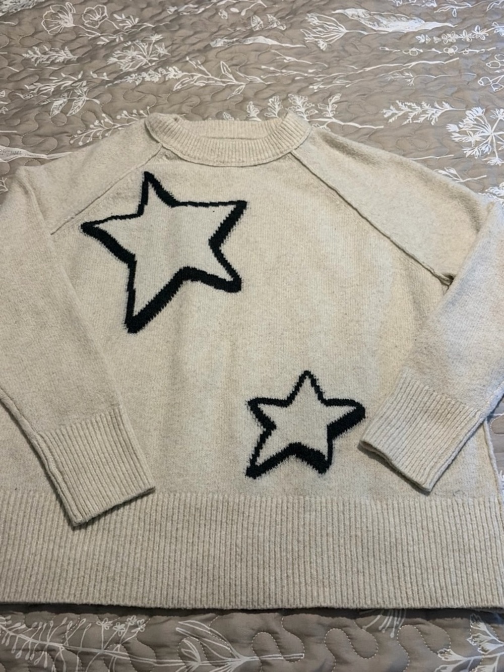 aerie Ivory Crewneck Sweater with Black Star Motif